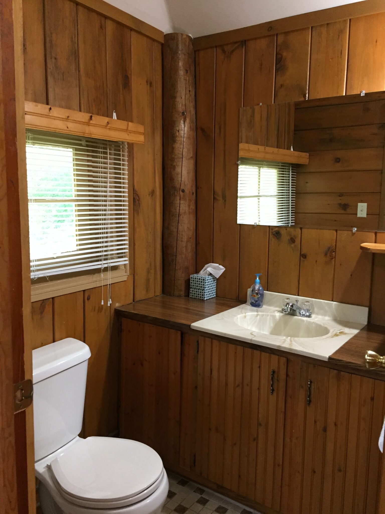 The Sunfish Cabin 3 Blackduck Lodge and Resort