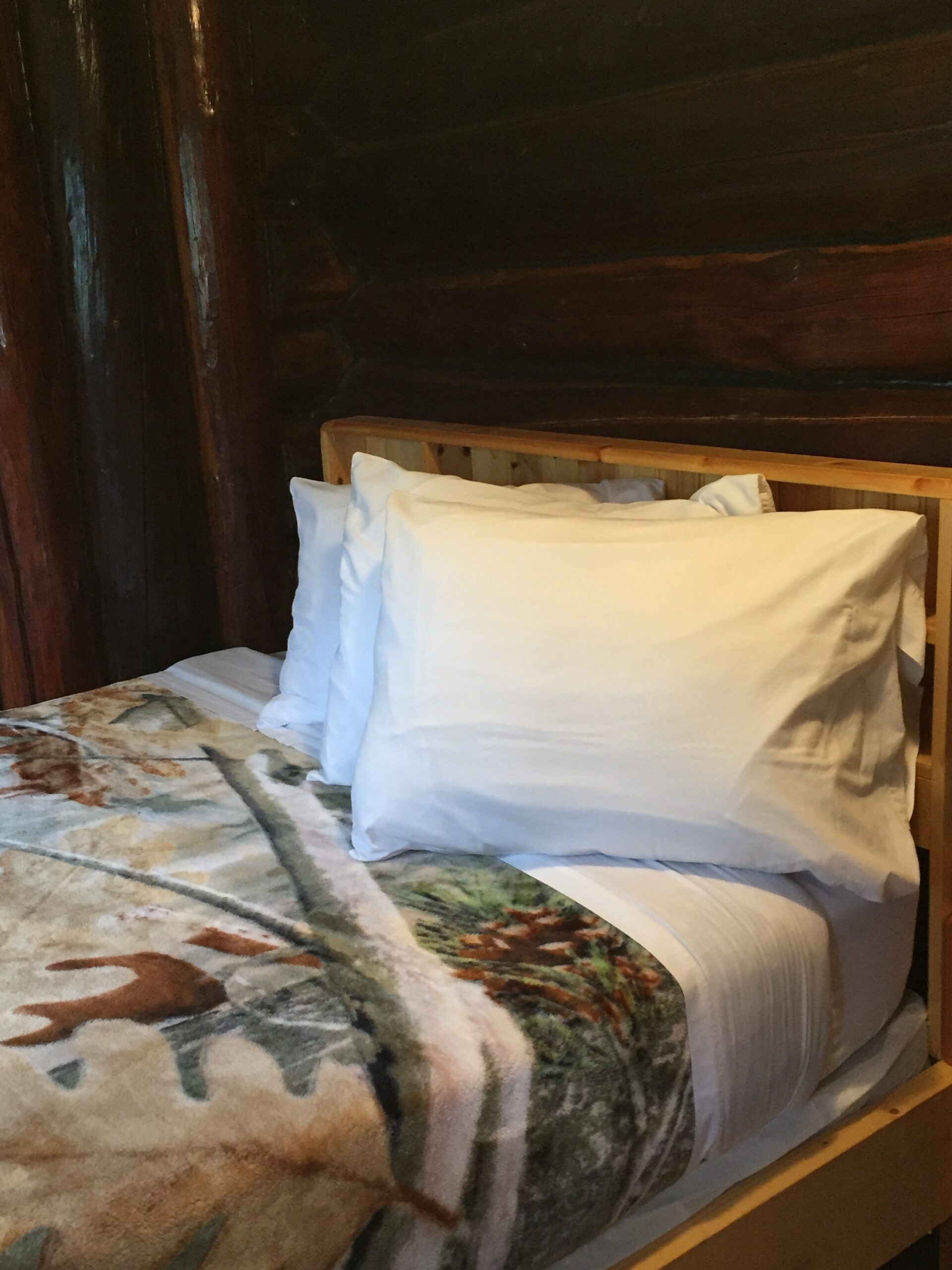 The Perch Cabin 4 Blackduck Lodge and Resort